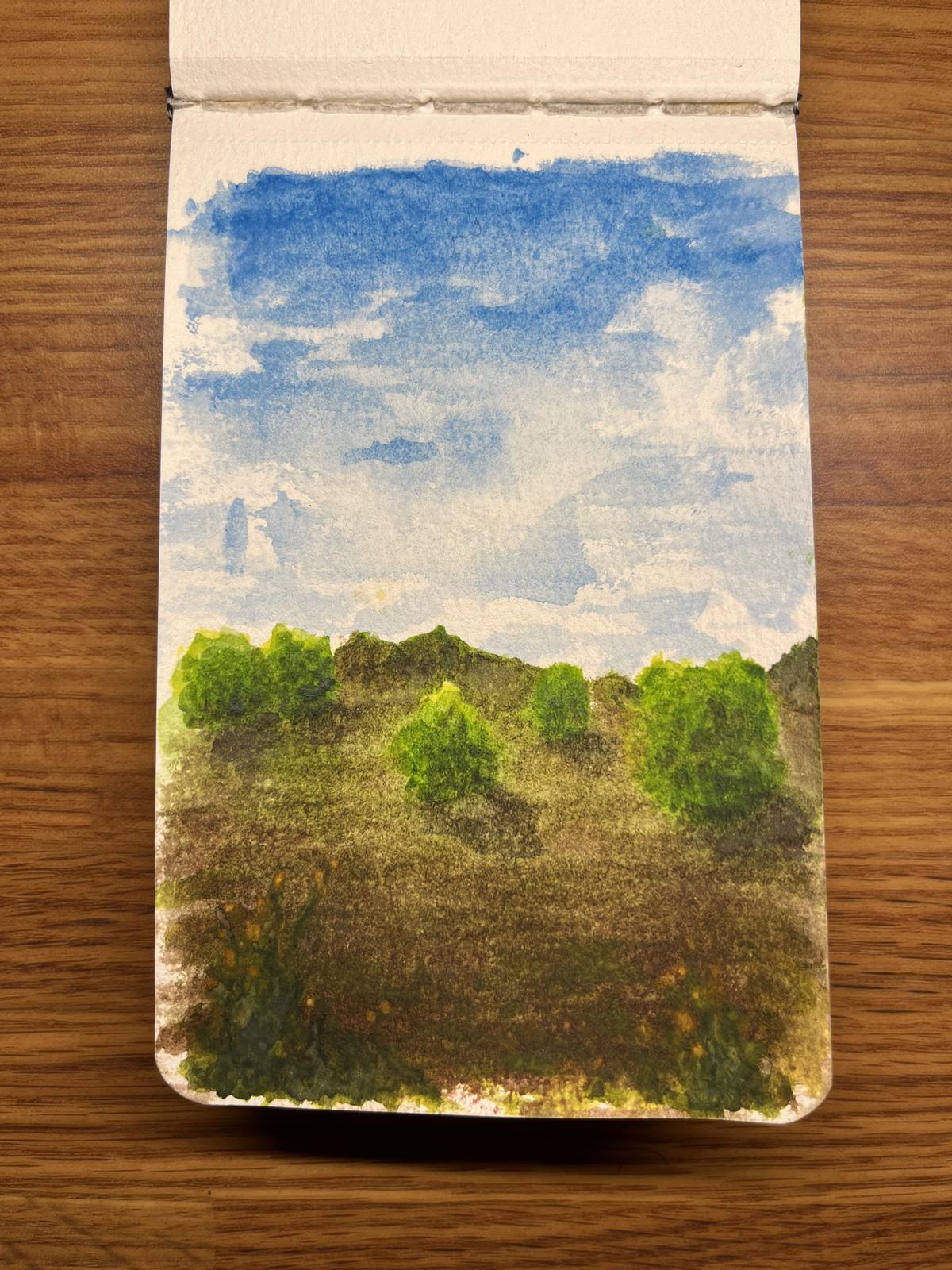 Greenbelt Shrubbery
