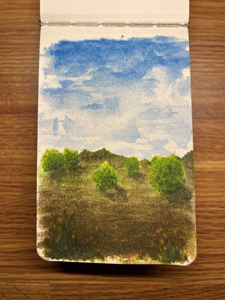 Greenbelt Shrubbery