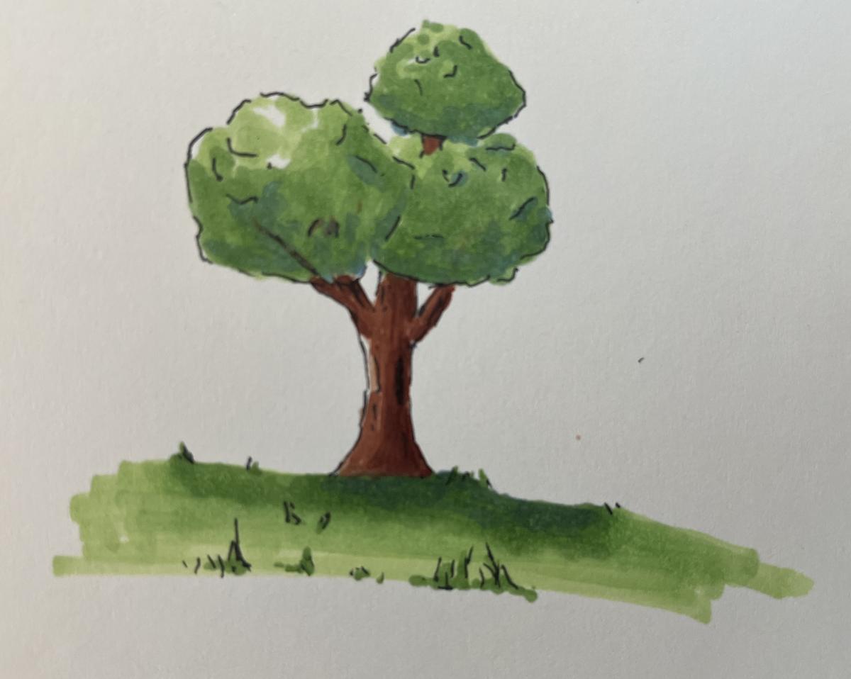 Tree in alcohol marker
